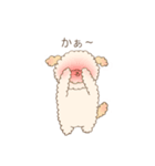 もこもこトイプーの日常スタンプ（個別スタンプ：10）