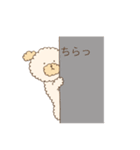 もこもこトイプーの日常スタンプ（個別スタンプ：16）
