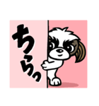 グミちゃんはシーズー犬なのだ日常Ver.2（個別スタンプ：1）