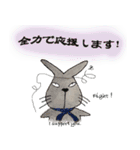 不器用うさぎ・ぎんさん 友達メッセージ（個別スタンプ：7）