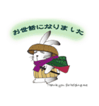 不器用うさぎ・ぎんさん 友達メッセージ（個別スタンプ：24）