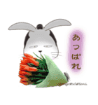 不器用うさぎ・ぎんさん 友達メッセージ（個別スタンプ：30）