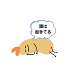 コムギ＆エビフライ（個別スタンプ：24）