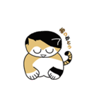 三毛猫 みかん姐さん（個別スタンプ：1）