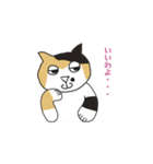 三毛猫 みかん姐さん（個別スタンプ：2）