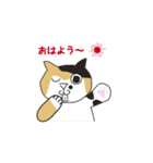 三毛猫 みかん姐さん（個別スタンプ：3）