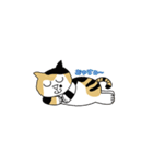 三毛猫 みかん姐さん（個別スタンプ：4）