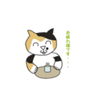 三毛猫 みかん姐さん（個別スタンプ：5）