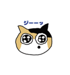 三毛猫 みかん姐さん（個別スタンプ：8）
