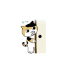 三毛猫 みかん姐さん（個別スタンプ：11）