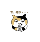 三毛猫 みかん姐さん（個別スタンプ：12）