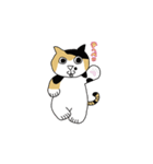 三毛猫 みかん姐さん（個別スタンプ：13）