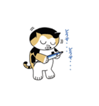 三毛猫 みかん姐さん（個別スタンプ：14）