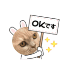 可愛い猫ちゃんスタンプを使ってください（個別スタンプ：5）