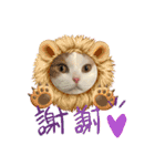 可愛い猫ちゃんスタンプを使ってください（個別スタンプ：10）