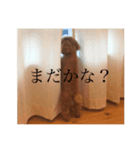 ネルちゃんの日常だよ（個別スタンプ：2）