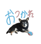 おいものぽてまる（個別スタンプ：4）