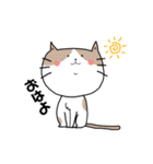顔のでかい猫とたまに顔のでかい犬（個別スタンプ：1）