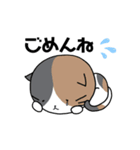 顔のでかい猫とたまに顔のでかい犬（個別スタンプ：10）