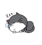 顔のでかい猫とたまに顔のでかい犬（個別スタンプ：16）