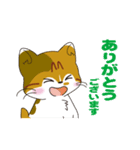 神社猫 ちゃこ（個別スタンプ：1）
