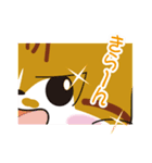 神社猫 ちゃこ（個別スタンプ：7）