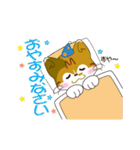 神社猫 ちゃこ（個別スタンプ：9）