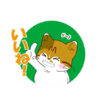 神社猫 ちゃこ（個別スタンプ：10）