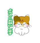 神社猫 ちゃこ（個別スタンプ：11）