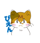 神社猫 ちゃこ（個別スタンプ：12）