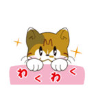 神社猫 ちゃこ（個別スタンプ：16）