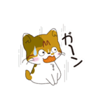 神社猫 ちゃこ（個別スタンプ：17）