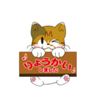 神社猫 ちゃこ（個別スタンプ：21）