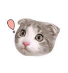 ヒロクリ（個別スタンプ：16）