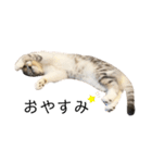 vivipopoすたんぷ（個別スタンプ：2）