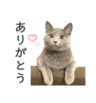 vivipopoすたんぷ（個別スタンプ：3）