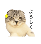 vivipopoすたんぷ（個別スタンプ：6）