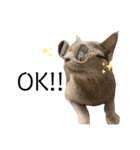 vivipopoすたんぷ（個別スタンプ：9）