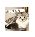 vivipopoすたんぷ（個別スタンプ：22）