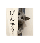 vivipopoすたんぷ（個別スタンプ：23）