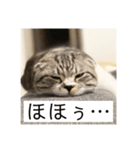 vivipopoすたんぷ（個別スタンプ：24）