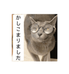vivipopoすたんぷ（個別スタンプ：25）