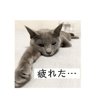 vivipopoすたんぷ（個別スタンプ：29）