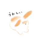 うさぎのもく。（個別スタンプ：5）
