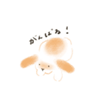 うさぎのもく。（個別スタンプ：7）
