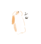 うさぎのもく。（個別スタンプ：17）