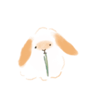 うさぎのもく。（個別スタンプ：25）
