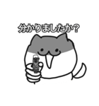 森ザウルスの飼い猫にゃん吉（個別スタンプ：37）