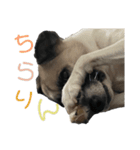 すんたらすたんぷ(叫び)（個別スタンプ：1）