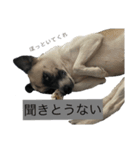 すんたらすたんぷ(叫び)（個別スタンプ：2）